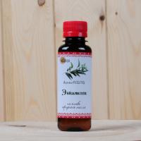 Ароматизатор "Эвкалипт" (100мл)  в Новосибирске