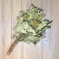Веник дубовый с пижмой (в упаковке) от фабрики RUШER