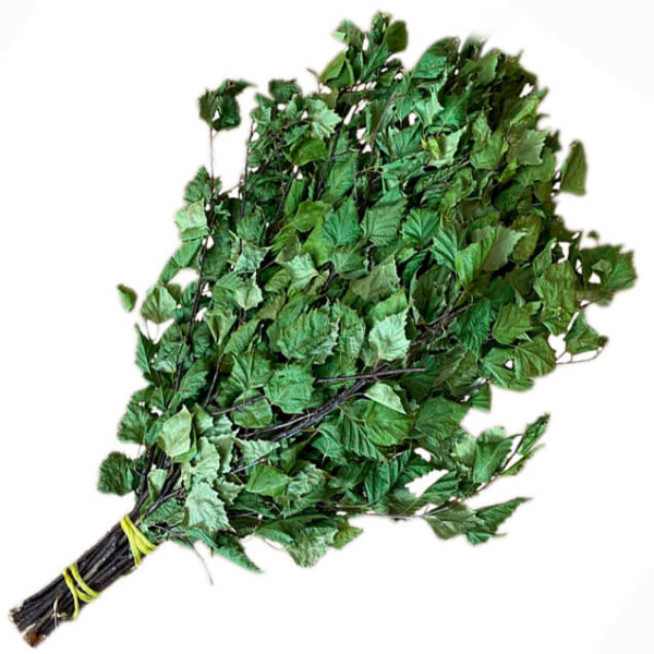 Веник для бани березовый в упаковке от фабрики RUШER